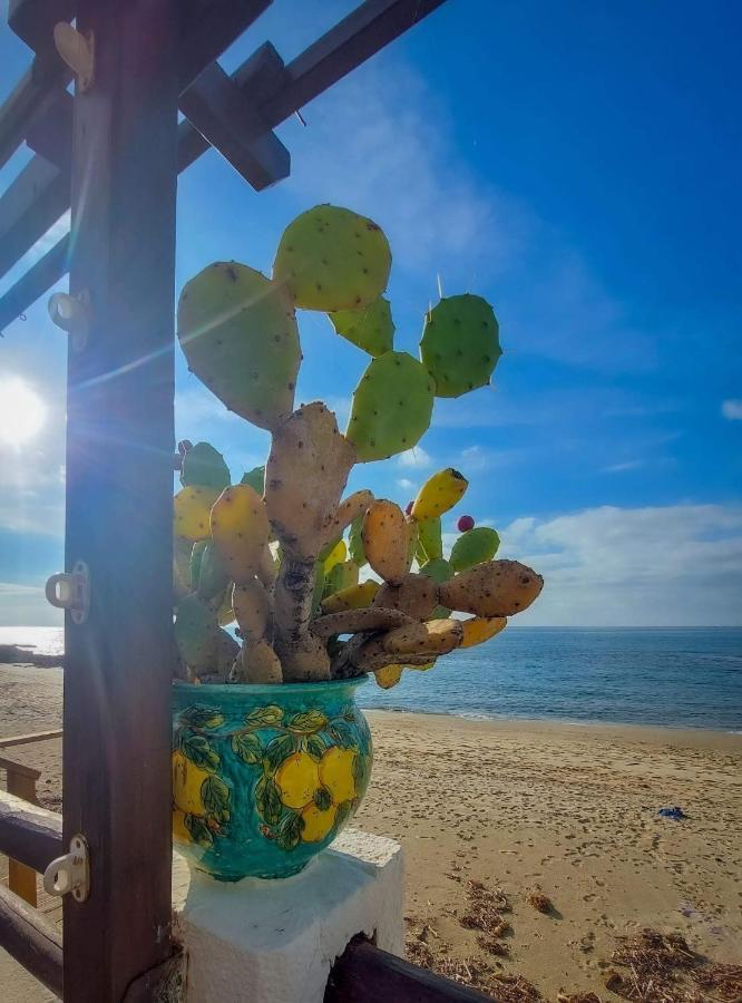 Appartamento La Coffa Agnone Cilento エクステリア 写真