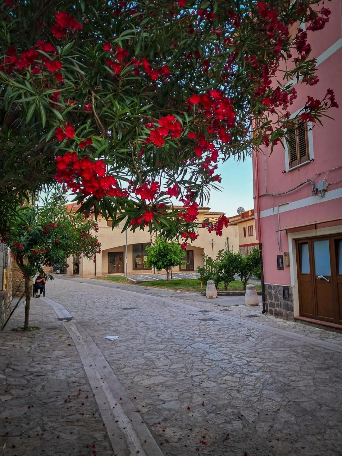 Appartamento La Coffa Agnone Cilento エクステリア 写真